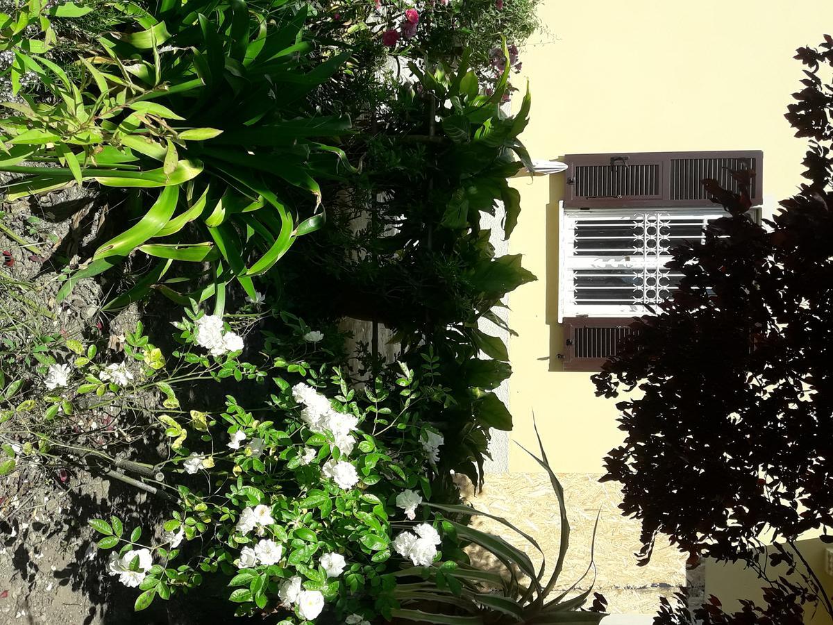 Aliso' Apartamento Sarzana Exterior foto